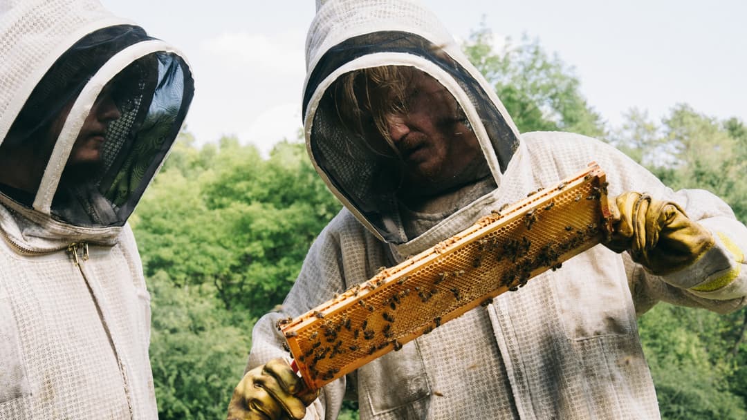 image is not available