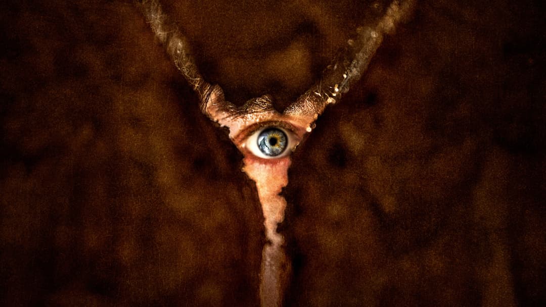 image is not available