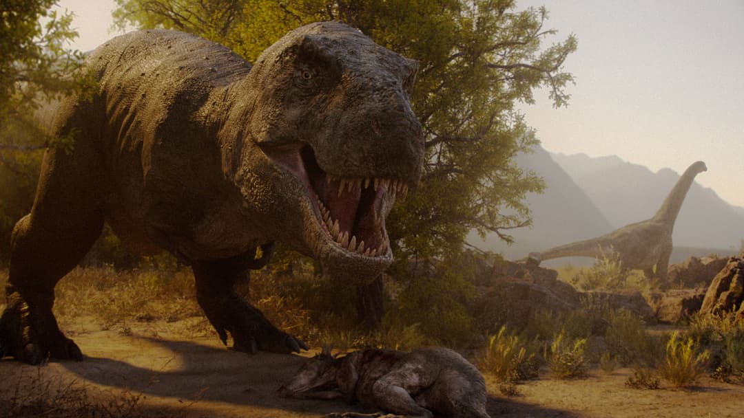 image is not available